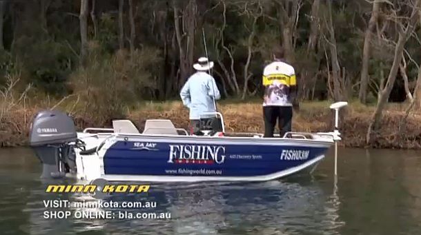 Federal Environment Minister Tony Burke.